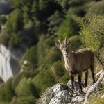 Hébergements de charme en ardèche pour un week-end romantique : où partir à deux