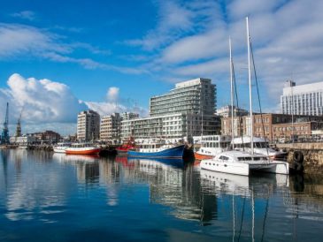 Durban harbour : que voir et que faire sur place